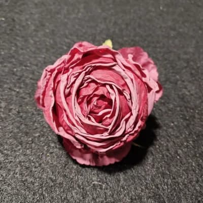 Czerwony