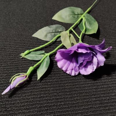 Fioletowy
