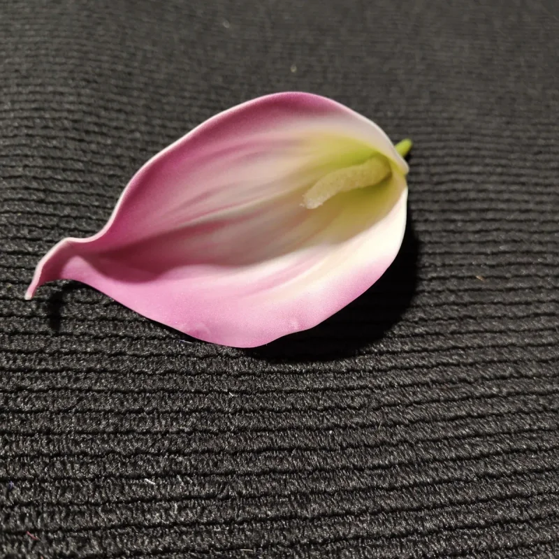 Fioletowy