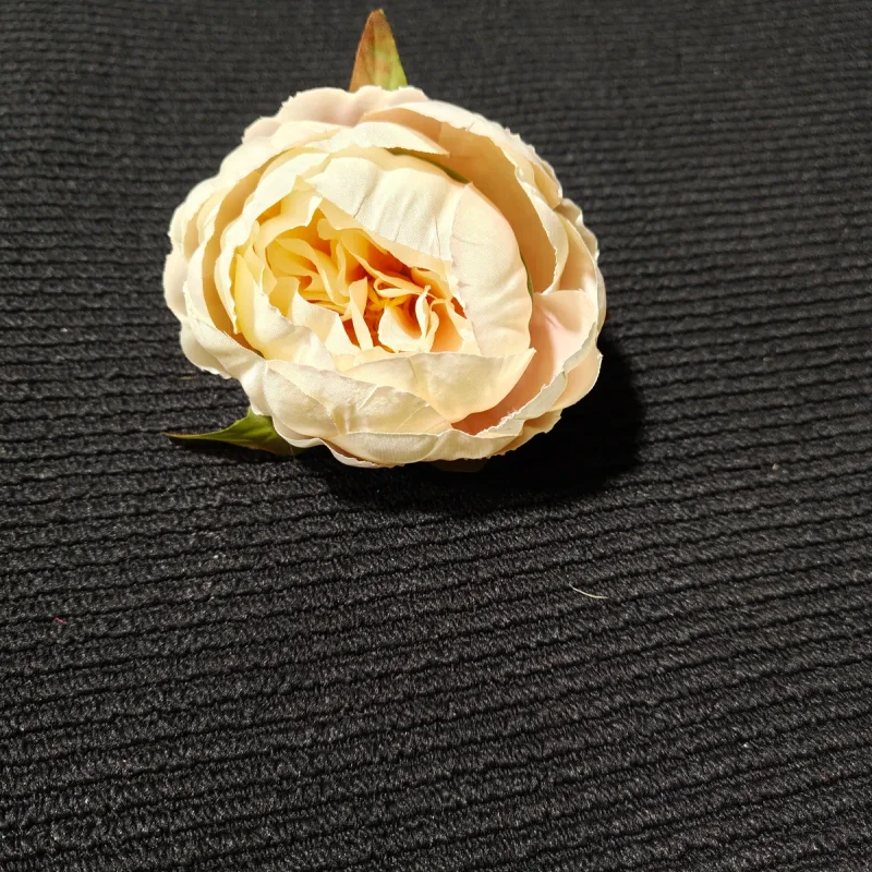Peonia wyrobowa (KK )