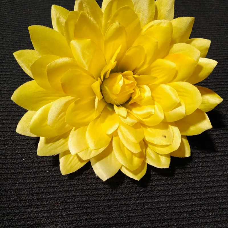 Dalia (C)
