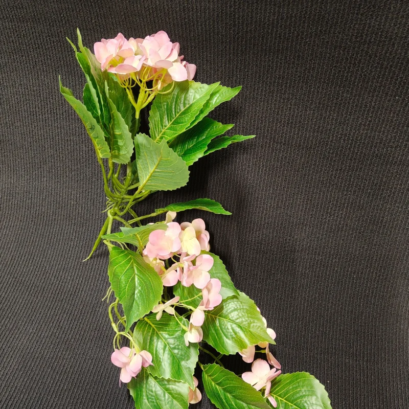 Zwis Hortensji