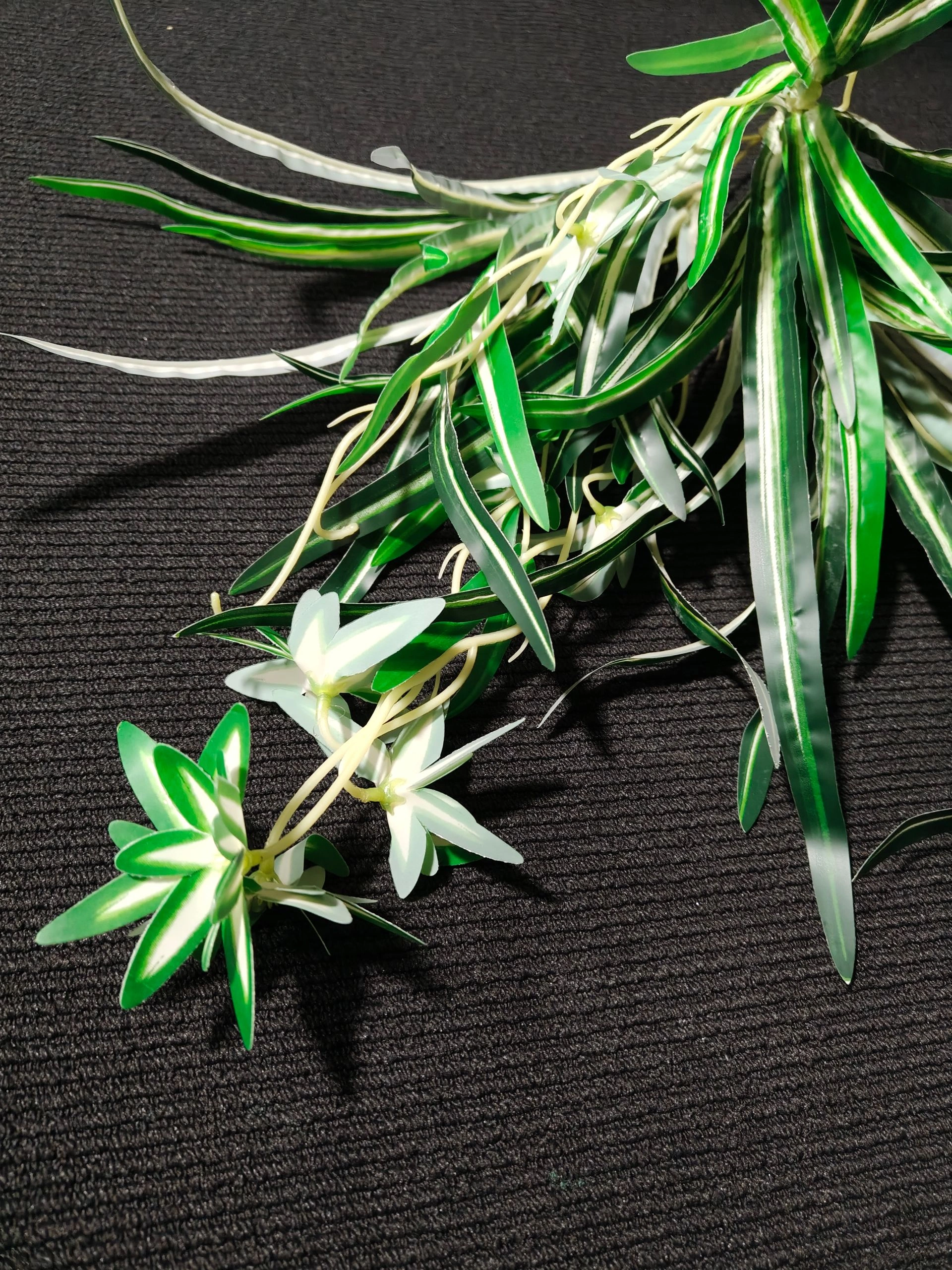 Zwis Dracena, 64 cm - drugie ujęcie
