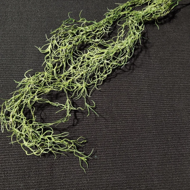 Zwis Asparagus, 100 cm 