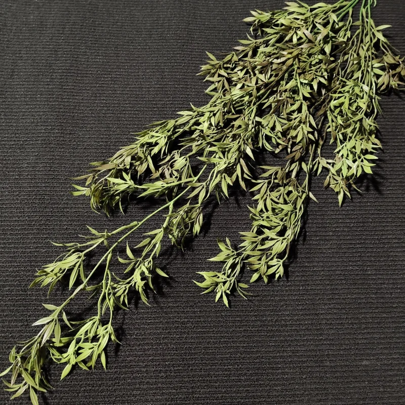 Zwis Ruskus, 76 cm (Ciemny)