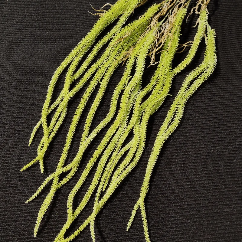 Zwis Leszczyna, 85 cm
