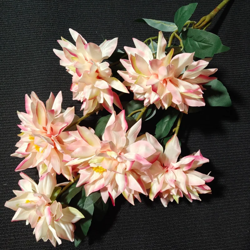 Bukiet Dalia x 6 (Różowy)