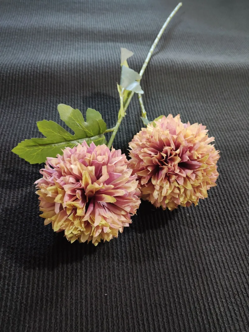 Chryzantema x2 na łodydze (Różowo-żółty)