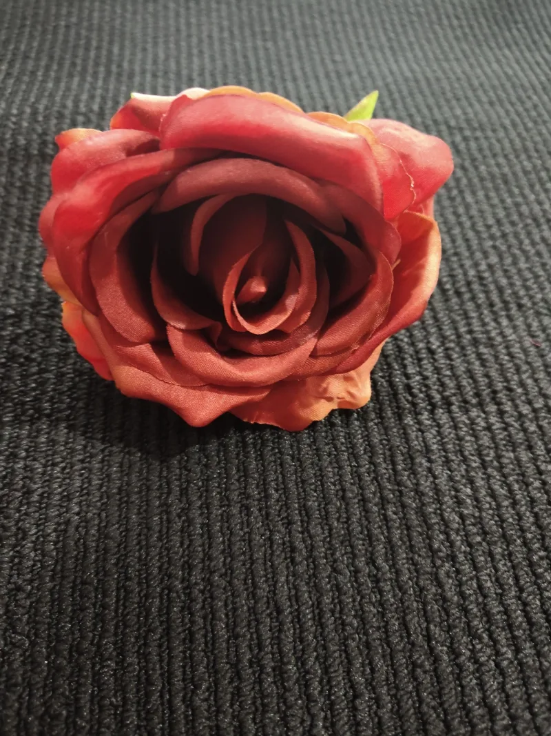 Róża Wyrobowa Rozwinięta (Rudy)